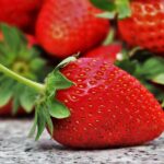 strawberries, fruit, season, eating, healthy, diet, juicy, tasty, dessert, sweet, red, fresh, food, healthy food, vitamins, fresh fruit, healthy eating, eat, vitamin, closeup, nutrition, organic, ripe, strawberries, fruit, fruit, fruit, fruit, fruit, food, food